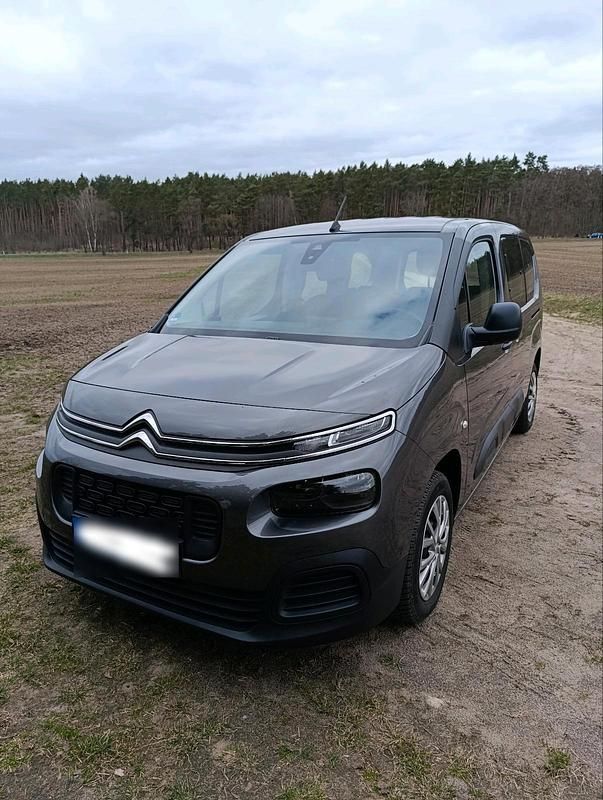 Gebraucht Citroën Berlingo Live 110 PS (80 kW) 2019 Grau Van / Kleinbus
