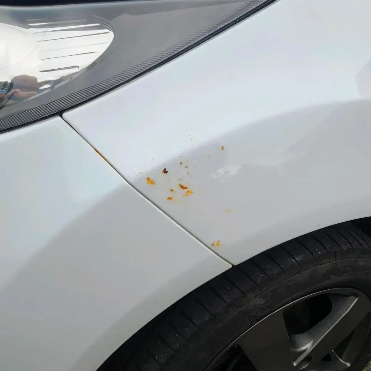 Gebraucht Ford Fiesta 82 PS (60 kW) 2011 Weiß Kleinwagen
