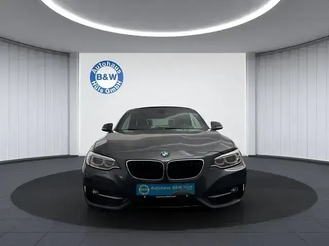 Gebraucht BMW 220 Performance 184 PS (135 kW) 2015 Grau Cabrio