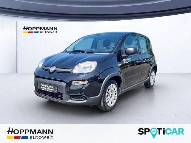 Schwarz Gebraucht 2024 Fiat Panda Kleinwagen | 11.990 € (Guter Preis) - Bild 1/4