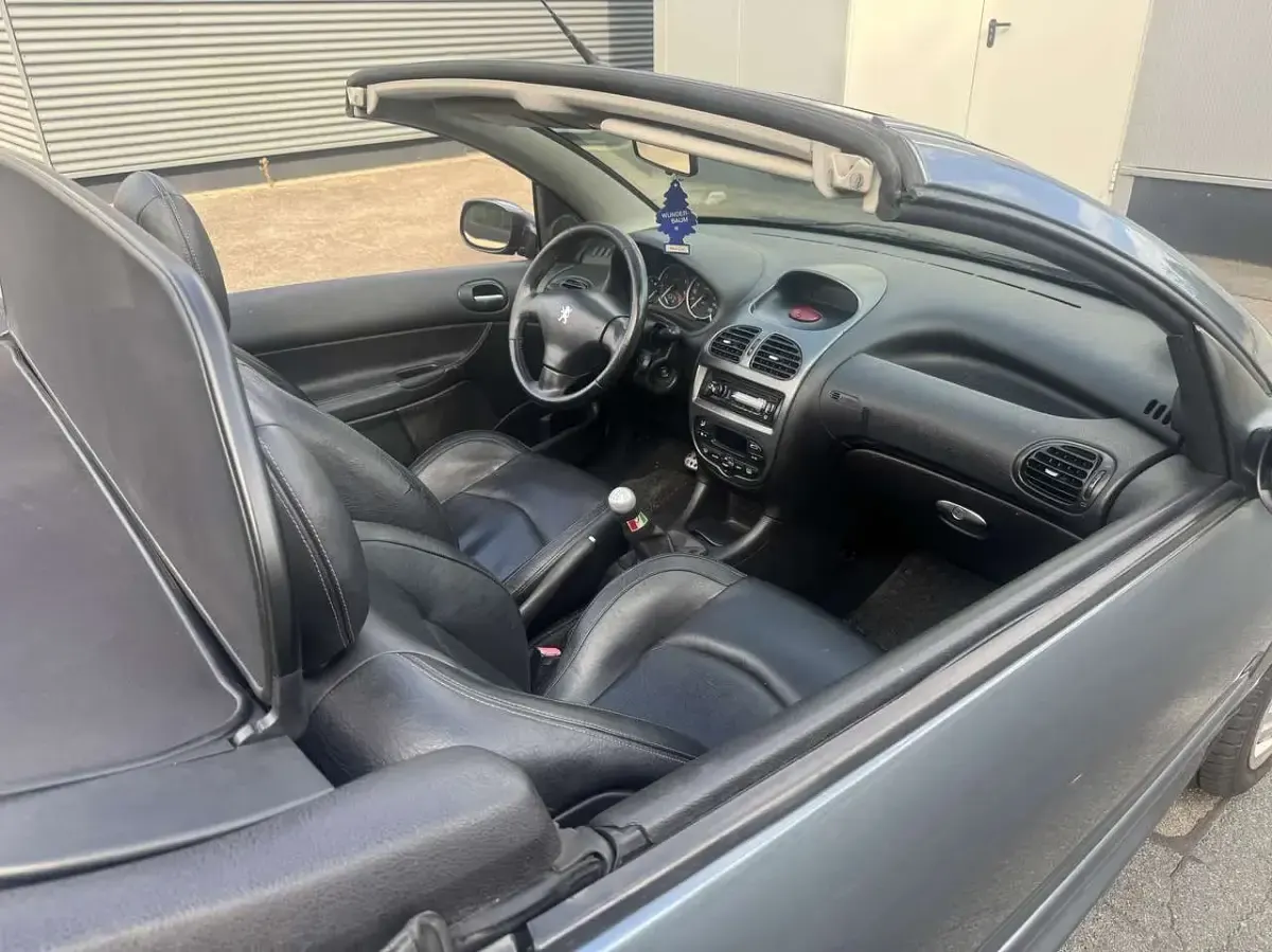 Gebraucht Peugeot 206 Platinum 109 PS (80 kW) 2005 Grau Cabrio