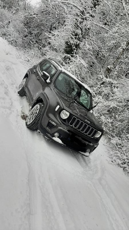 Gebraucht Jeep Renegade Longitude 140 PS (102 kW) 2019 Andere farben SUV