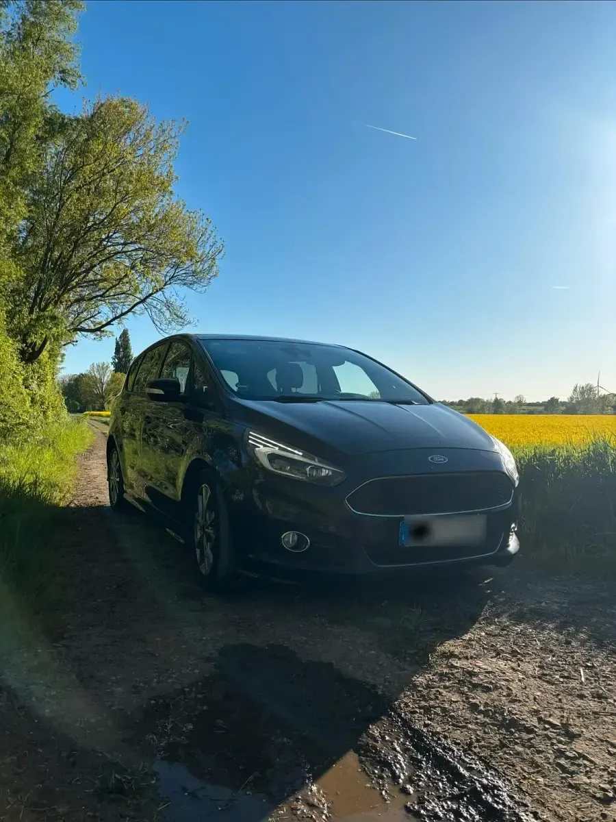 Gebraucht Ford S-MAX ST 240 PS (176 kW) 2018 Schwarz Van / Kleinbus