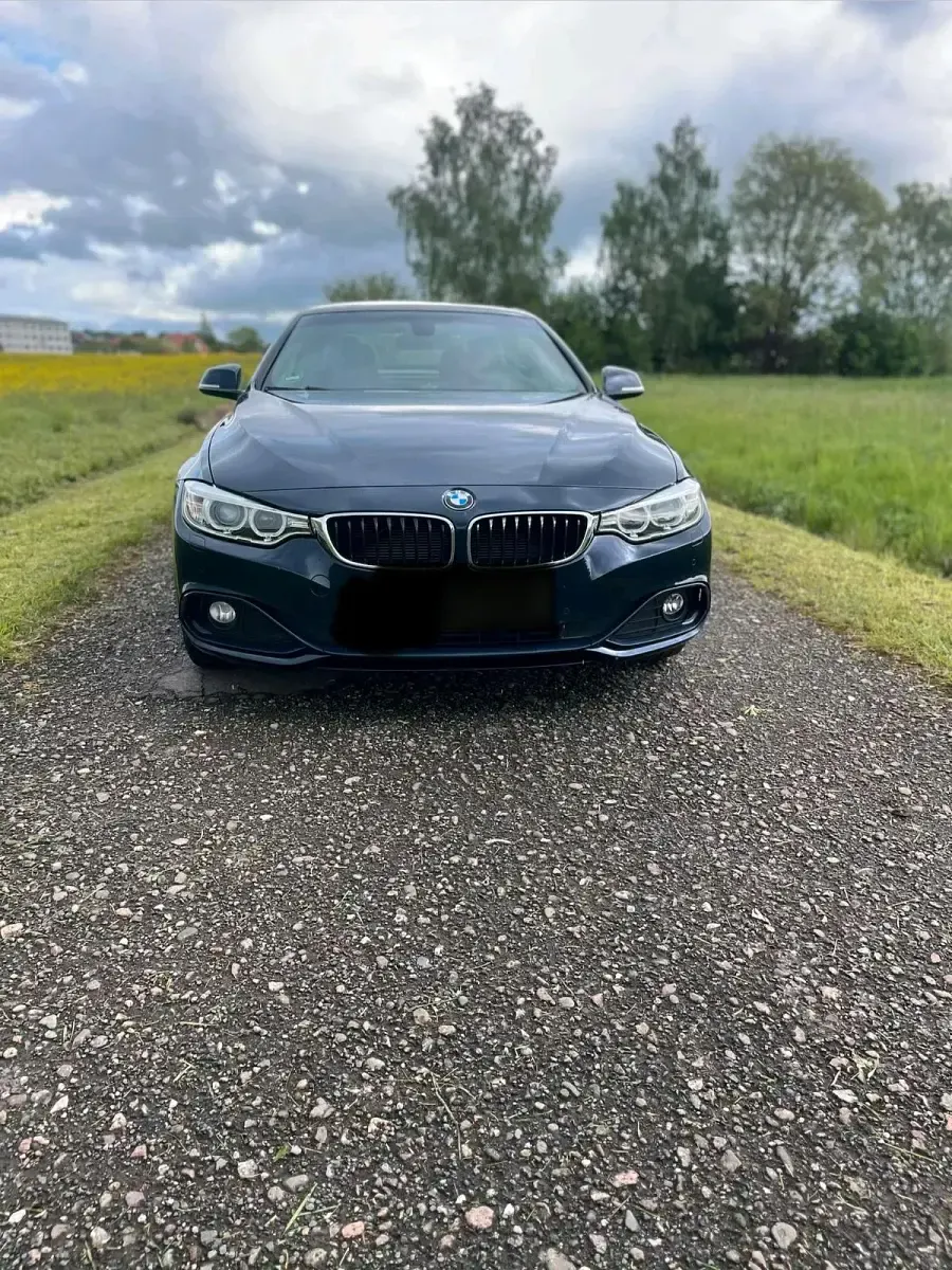 Gebraucht BMW 420 190 PS (139 kW) 2017 Blau Cabrio
