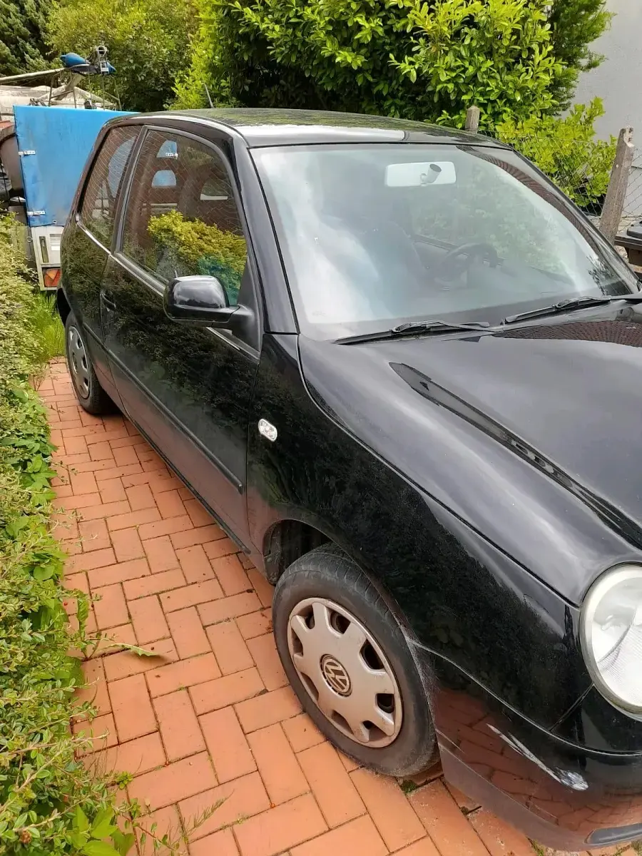 Gebraucht VW Lupo 50 PS (36 kW) 2002 Schwarz Kleinwagen
