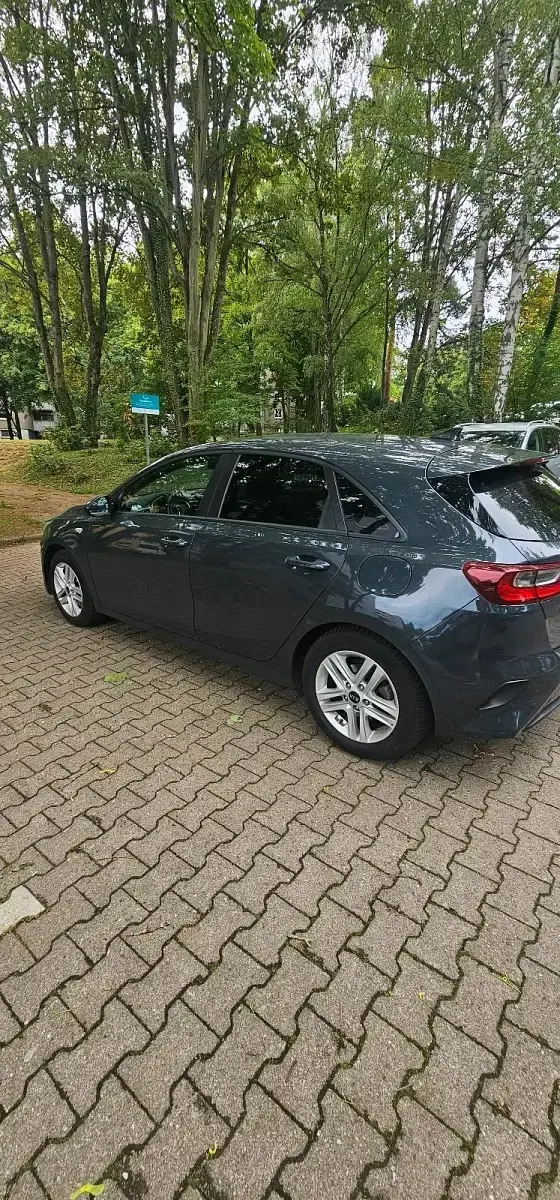 Gebraucht Kia Ceed 99 PS (72 kW) 2019 Grau Kleinwagen