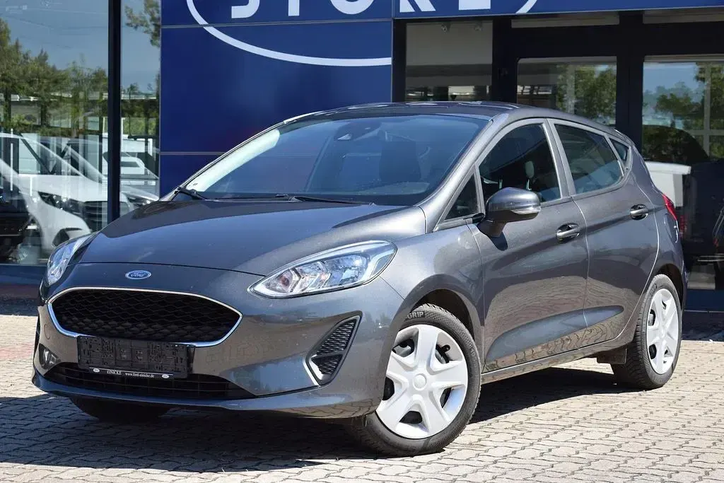 Gebraucht Ford Fiesta Trend 101 PS (74 kW) 2019 Magneticgrau metallic Kleinwagen