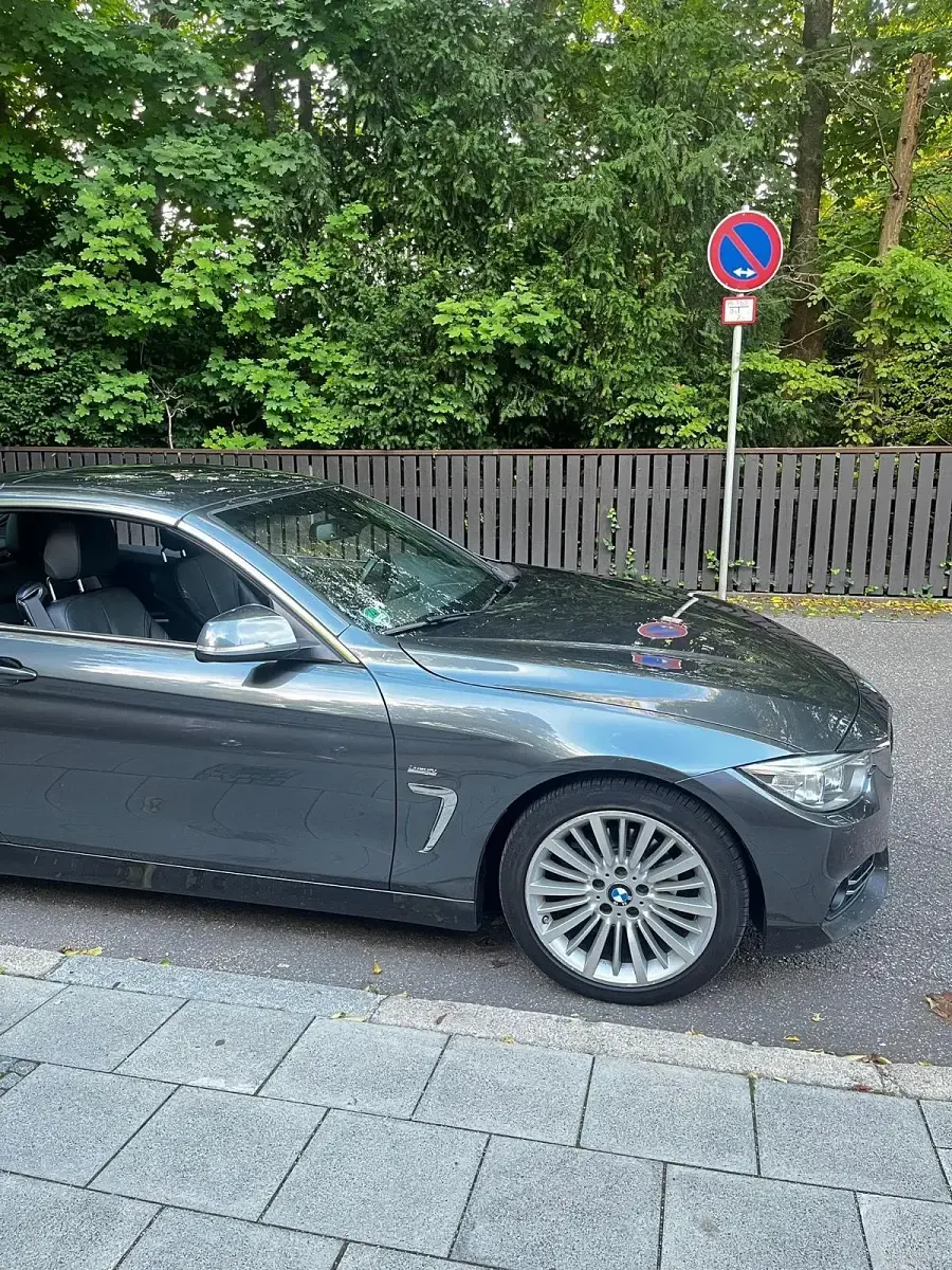 Gebraucht BMW 420 Cabriolet 184 PS (135 kW) 2016 Grau Cabrio