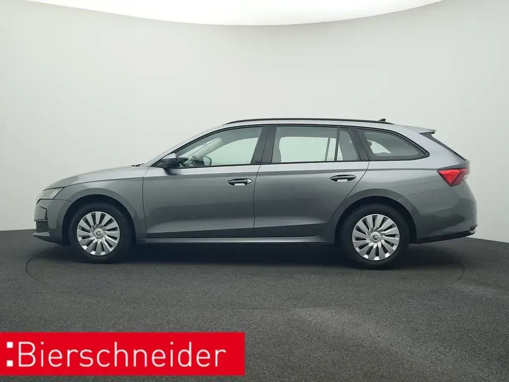 Gebraucht Skoda Octavia Essence 116 PS (85 kW) 2025 Grau Kombi