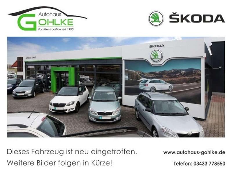 Stahlgrau Gebraucht 2025 Skoda Scala Tour Kleinwagen | 25.999 € (Teuer) - Bild 1/3