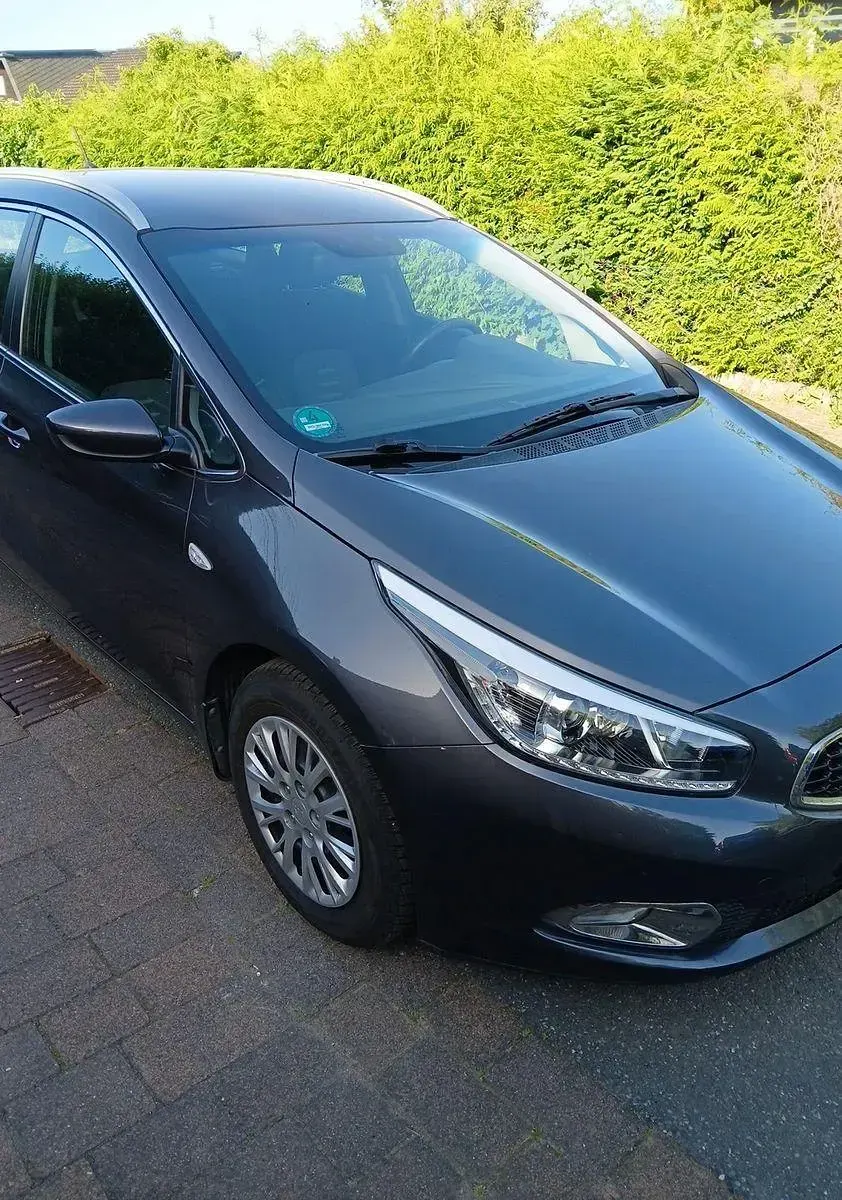 Gebraucht Kia Ceed Edition 7 135 PS (99 kW) 2015 Grau Kleinwagen
