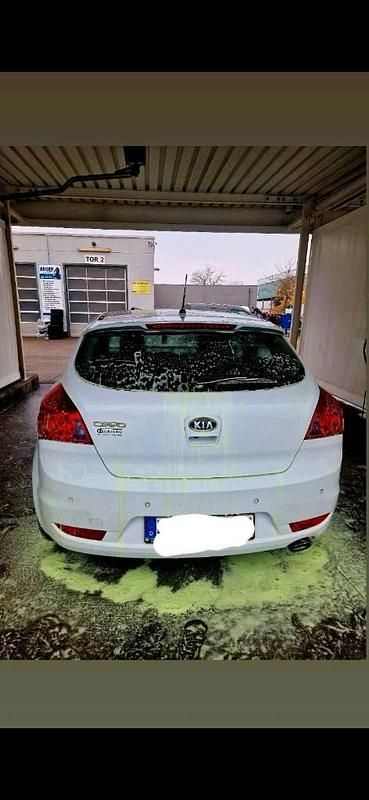 Usata Kia Ceed 90 CV (66 kW) 2011 Bianco Utilitaria