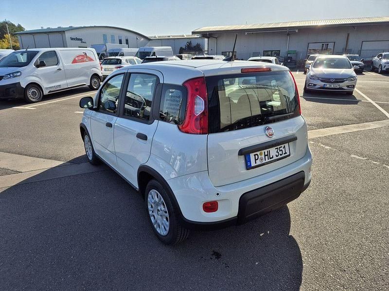 Gebraucht Fiat Panda S 69 PS (50 kW) 2024 Weiss Kleinwagen
