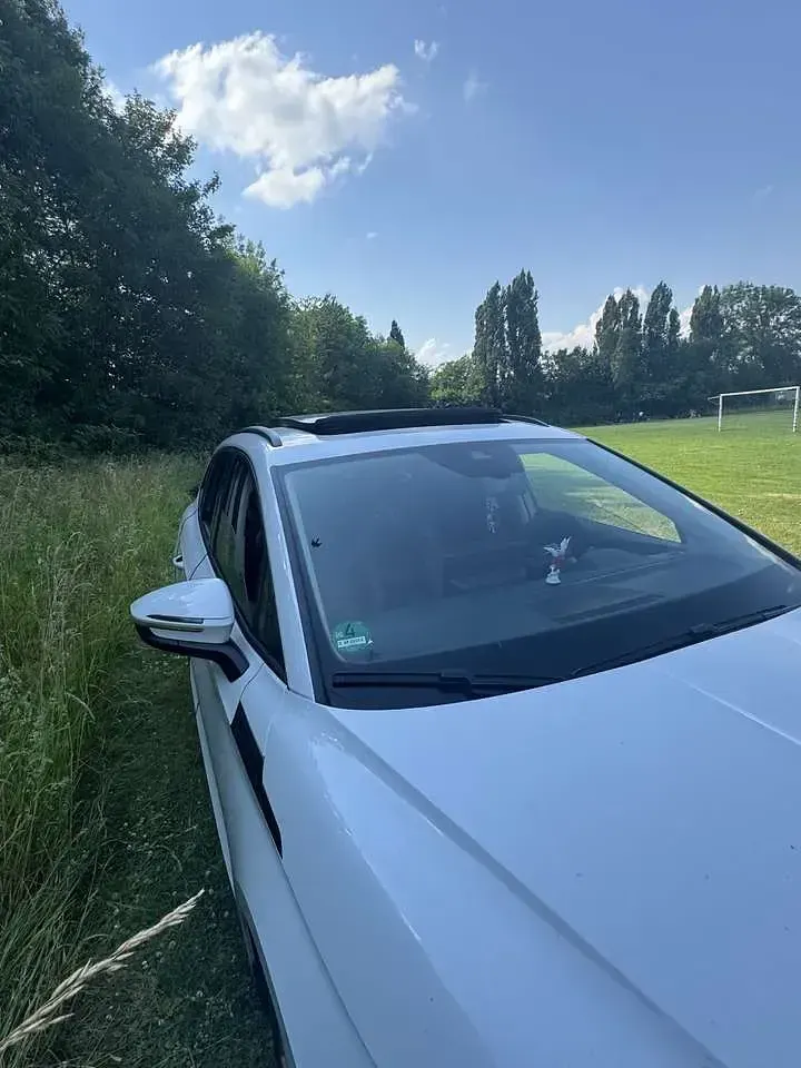 Gebraucht Skoda Enyaq iV ecoSuite 131 kW (179 PS) 2021 Weiß SUV