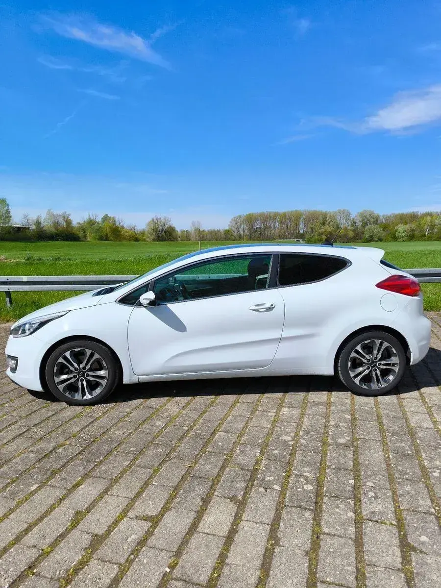 Gebraucht Kia ProCeed 128 PS (94 kW) 2014 Weiß Kleinwagen