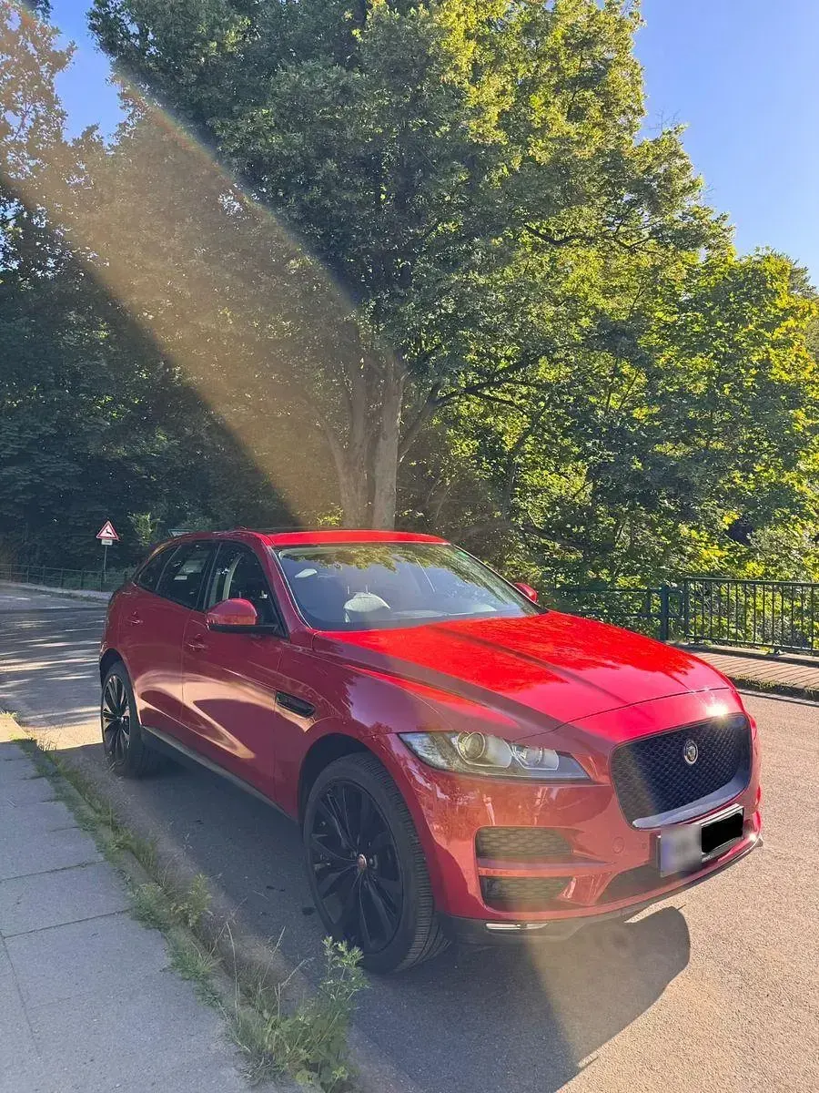 Gebraucht Jaguar F-Pace Prestige 179 PS (131 kW) 2017 Rot SUV