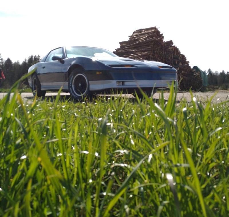 Blau Gebraucht 1989 Pontiac Firebird Coupé | 23.700 € - Bild 1/4