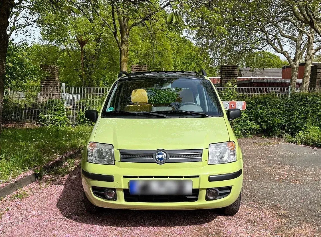 Gebraucht Fiat Panda 60 PS (44 kW) 2004 Grün Kleinwagen