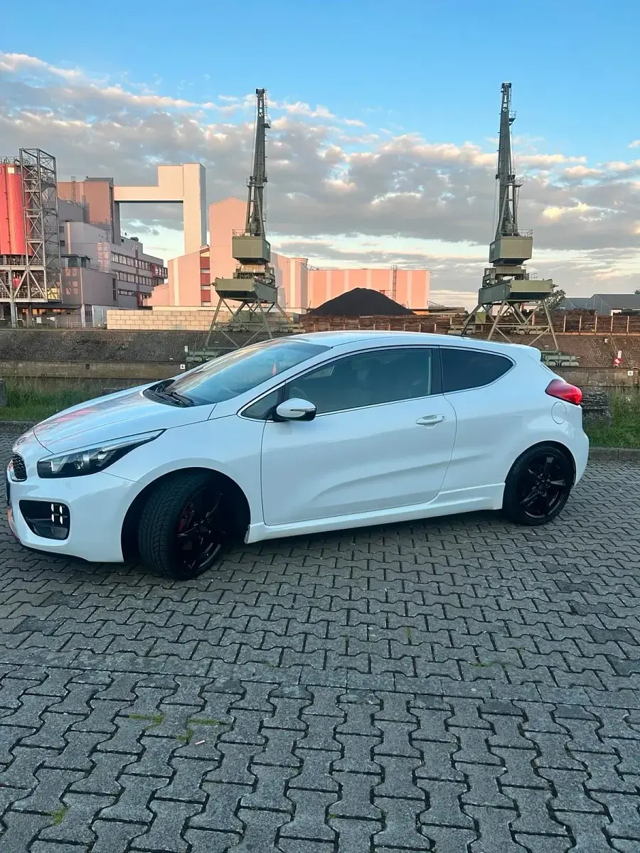 Gebraucht Kia Ceed GT-Track 204 PS (150 kW) 2014 Weiß Kleinwagen