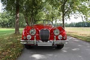Gebraucht Jaguar XK S 254 PS (186 kW) 1959 Rot Cabrio