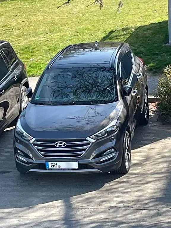 Gebraucht Hyundai Tucson Premium 186 PS (136 kW) 2016 Grau SUV