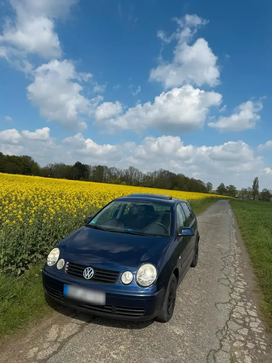 Używany VW Polo 75 KM (55 kW) 2002 Purpurowy Hatchback