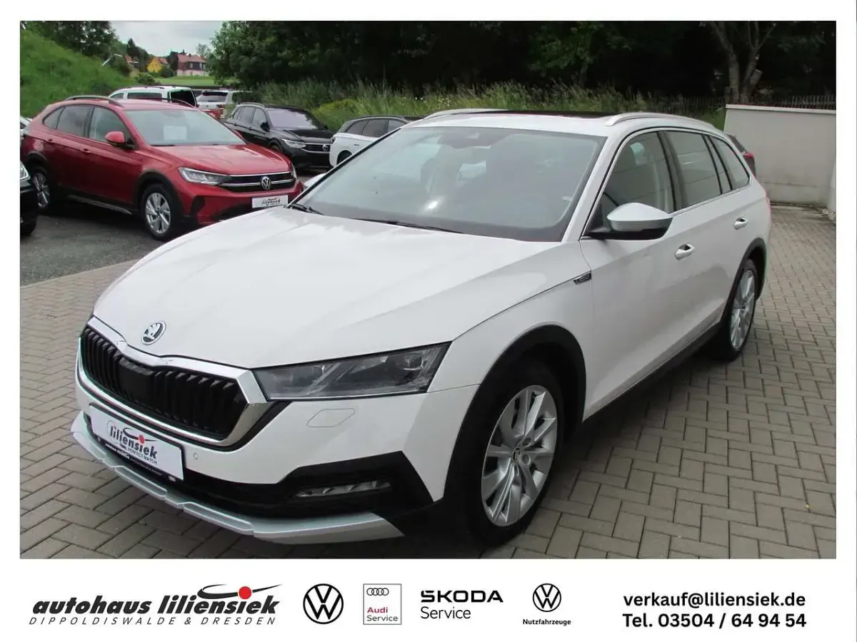 Gebraucht Skoda Octavia Scout 200 PS (147 kW) 2023 Weiß Kombi