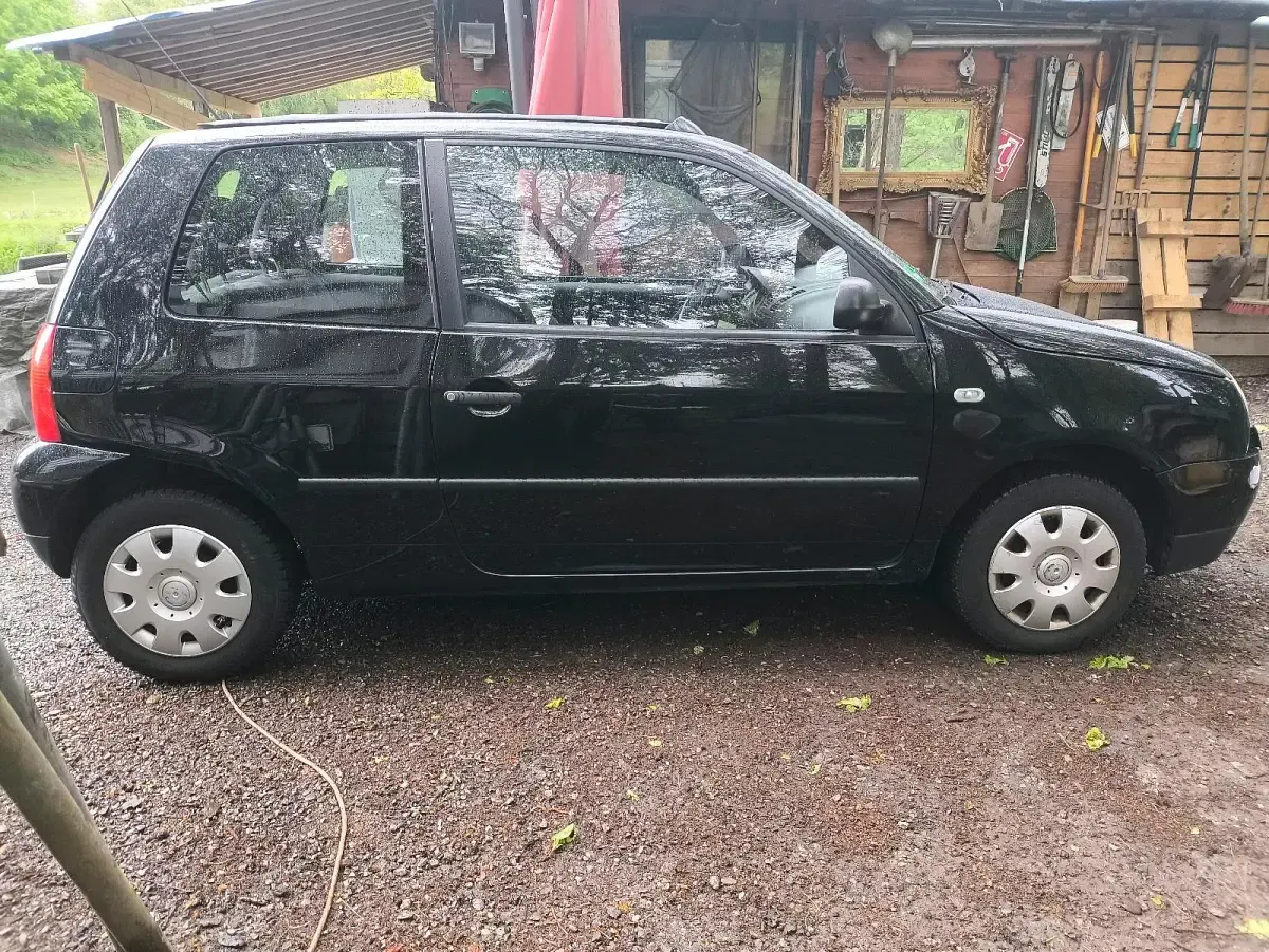 Używany VW Lupo 60 KM (44 kW) 2004 Czarny Hatchback