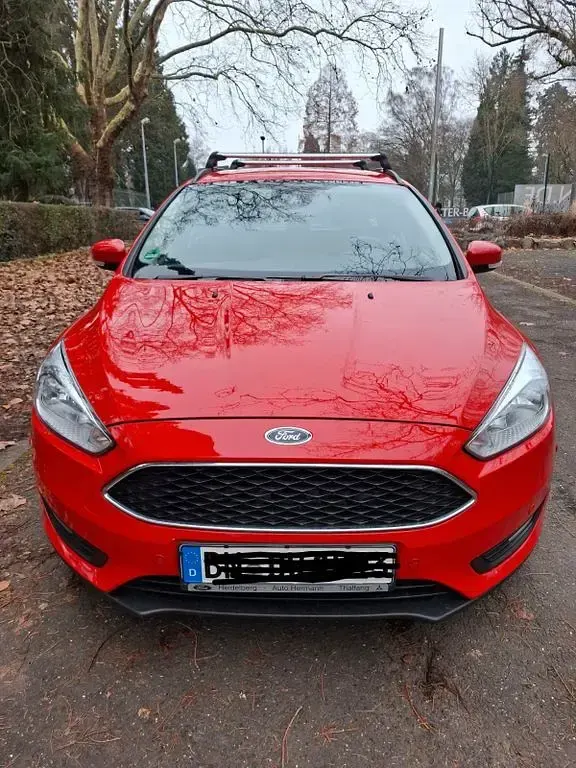 Usata Ford Focus 101 CV (74 kW) 2017 Rosso Station wagon