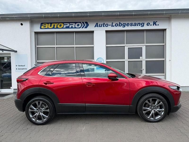 Usata Mazda CX-30 179 CV (131 kW) 2020 Rosso SUV
