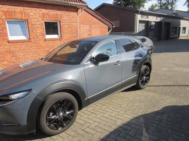 Gebraucht Mazda CX-30 122 PS (89 kW) 2024 SUV
