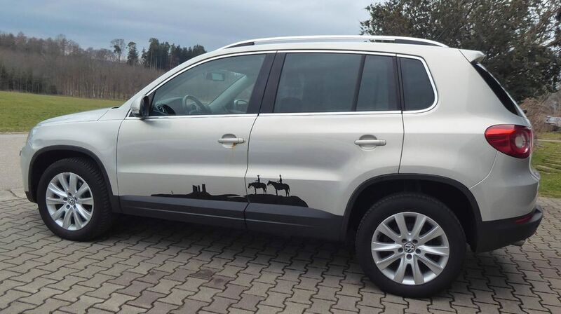 Gebraucht VW Tiguan Sportline 170 PS (125 kW) 2010 Silber SUV