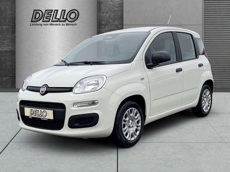 Neu Fiat Panda 69 PS (50 kW) 2025 Gelato weiß Kleinwagen