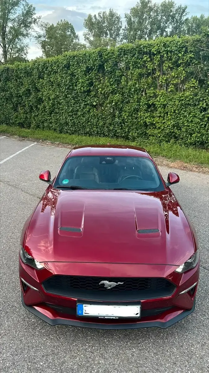 Gebraucht Ford Mustang Fastback 290 PS (213 kW) 2019 Rot Coupé