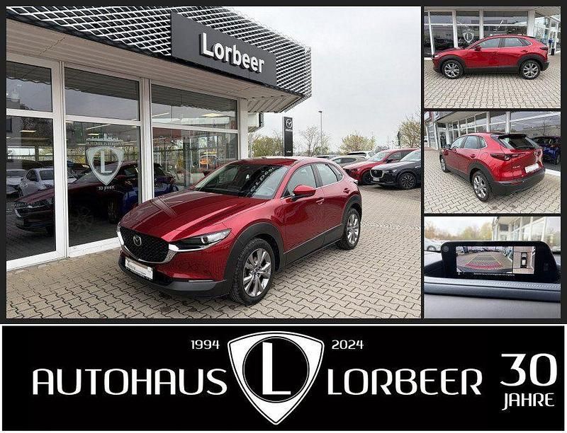 Gebraucht Mazda CX-30 Selection 116 PS (85 kW) 2020 Rot SUV