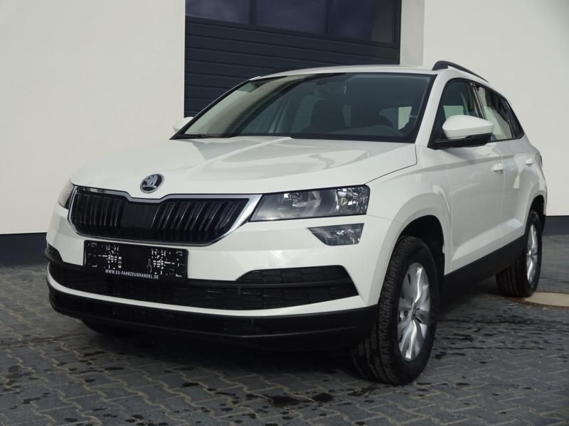 Skoda karoq drive 2