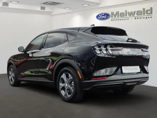 Gebraucht Ford Mustang Mach-E Basis 216 kW (294 PS) 2023 Iridiumschwarz metallic SUV