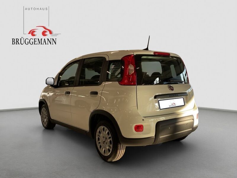 Gebraucht Fiat Panda 69 PS (50 kW) 2025 Weiß Kleinwagen