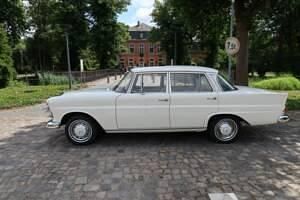 Gebraucht Mercedes 200 55 PS (40 kW) 1966 Weiß Limousine