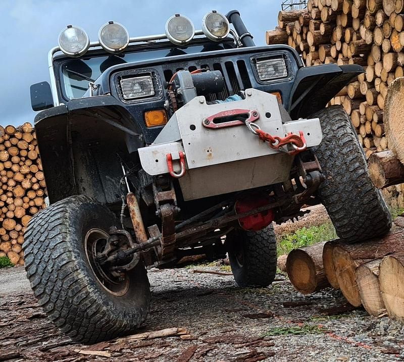 Gebraucht Jeep Wrangler 184 PS (135 kW) 1994 Schwarz SUV