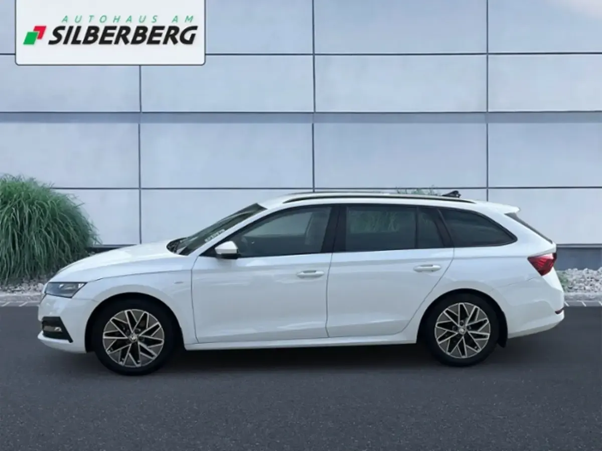 Gebraucht Skoda Octavia Ambition 150 PS (110 kW) 2023 Moonweiß perleffekt Kombi