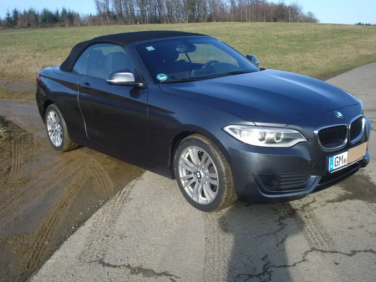 Gebraucht BMW 220 Advantage 190 PS (139 kW) 2015 Grau Cabrio