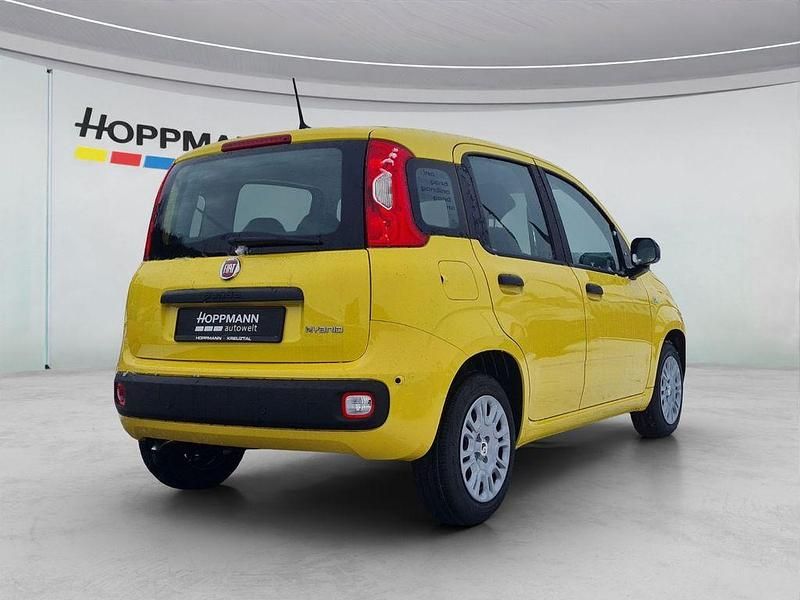 Neu Fiat Panda Icon 69 PS (50 kW) 2026 Gelb Limousine