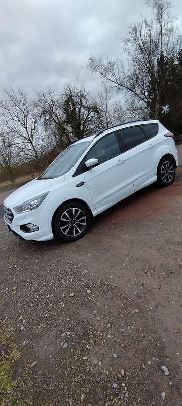 Gebraucht Ford Kuga 179 PS (131 kW) 2020 Weiß SUV