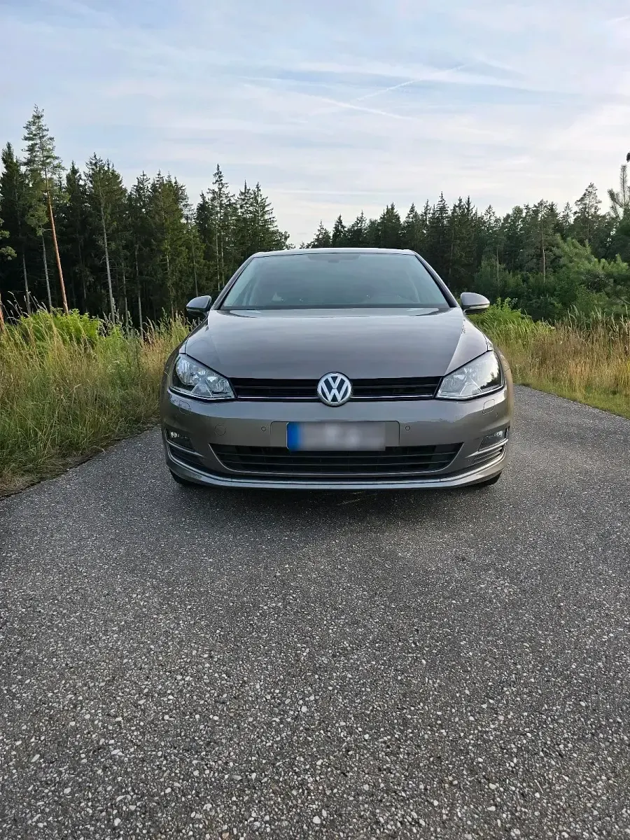 Gebraucht VW Golf VII Allstar 110 PS (80 kW) 2016 Grau Limousine