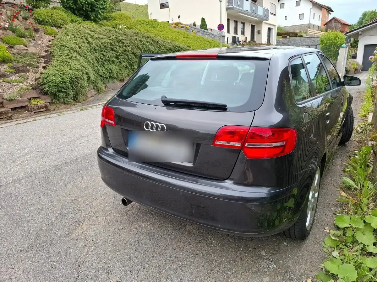 Gebraucht Audi A3 Ambition 102 PS (75 kW) 2007 Schwarz Kleinwagen