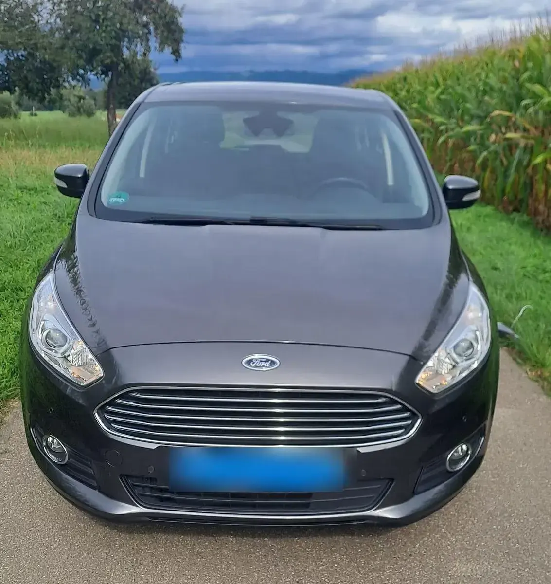 Gebraucht Ford S-MAX Business Edition 190 PS (139 kW) 2016 Grau Van / Kleinbus