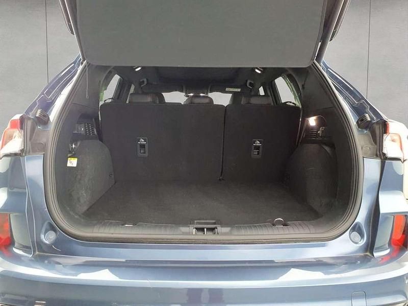 Gebraucht Ford Kuga ST-Line X 151 PS (111 kW) 2023 Chrome blue metallic SUV