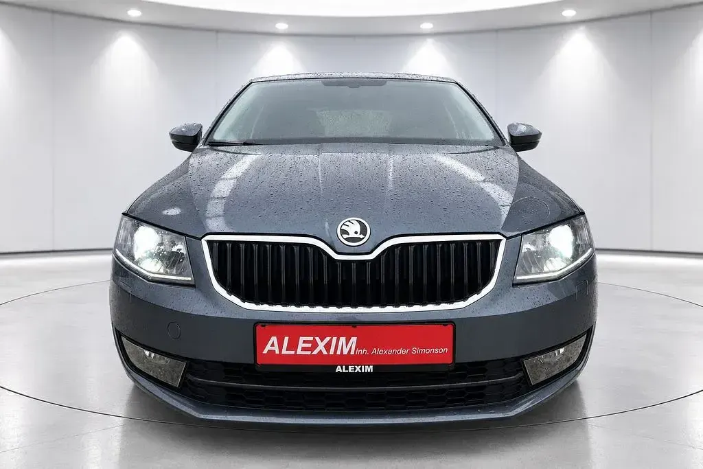 Gebraucht Skoda Octavia Style 150 PS (110 kW) 2016 Grau Kombi