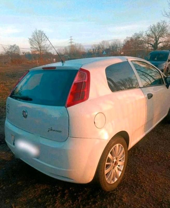 Gebraucht Fiat Punto 70 PS (51 kW) 2011 Weiß Kleinwagen